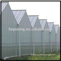 PC Sheet Cover Material and Single-Span Agricultural Greenhouses Type Polycarbonate Greenhouse